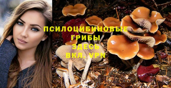 мескалин Покровск