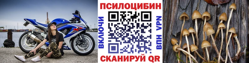 Галлюциногенные грибы Cubensis Купить где Томилино