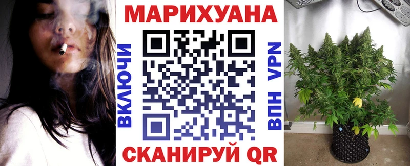 Купить  Томилино  Каннабис ГИДРОПОН 